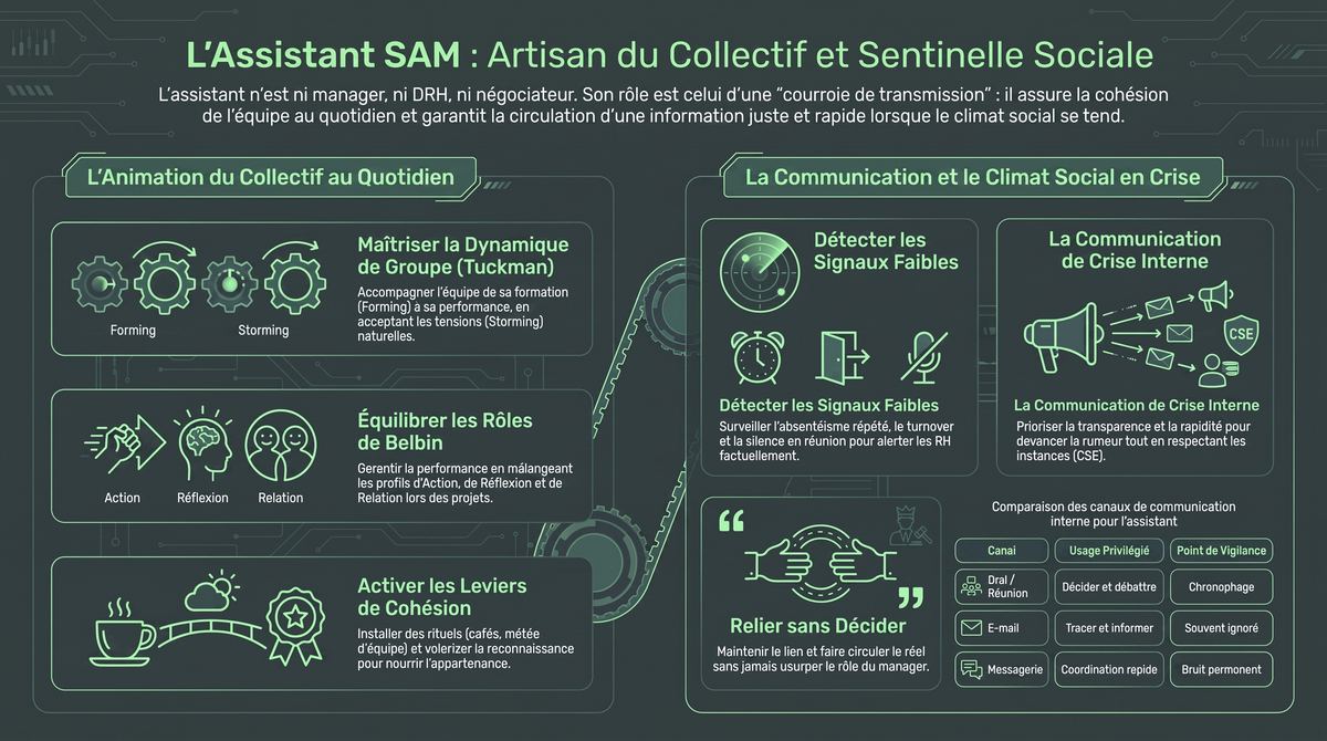 Infographie de la fiche