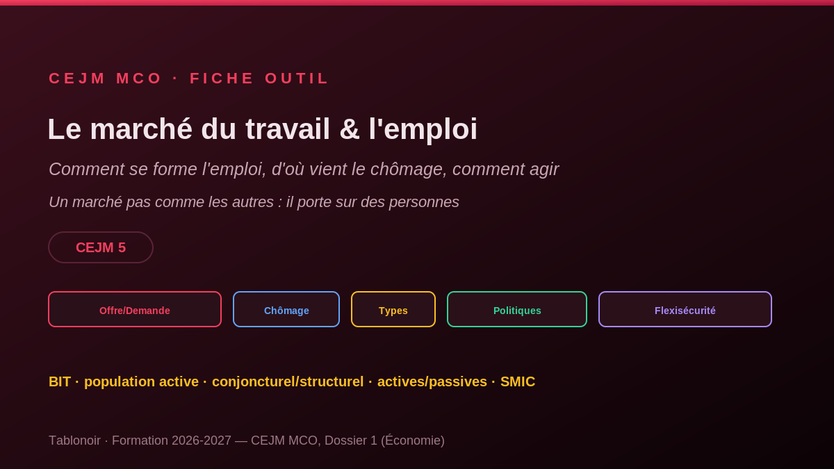 Infographie CEJM 1.05 — Le marché du travail et l'emploi