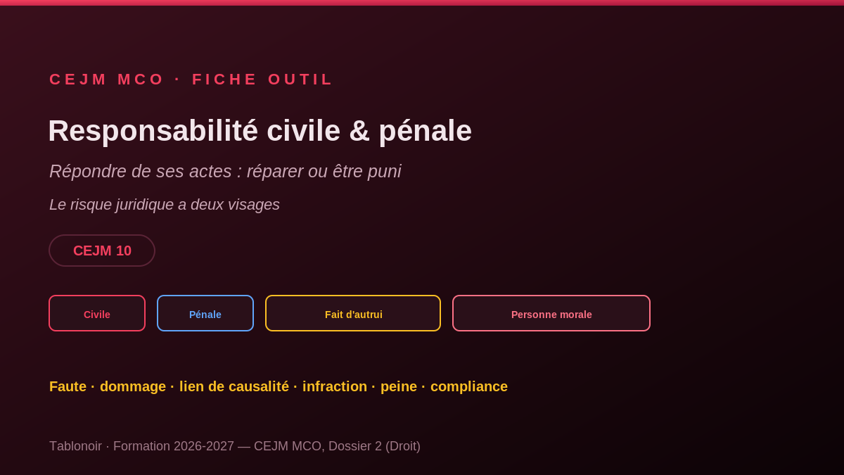 Infographie CEJM 2.05 — La responsabilité civile et pénale de l'entreprise