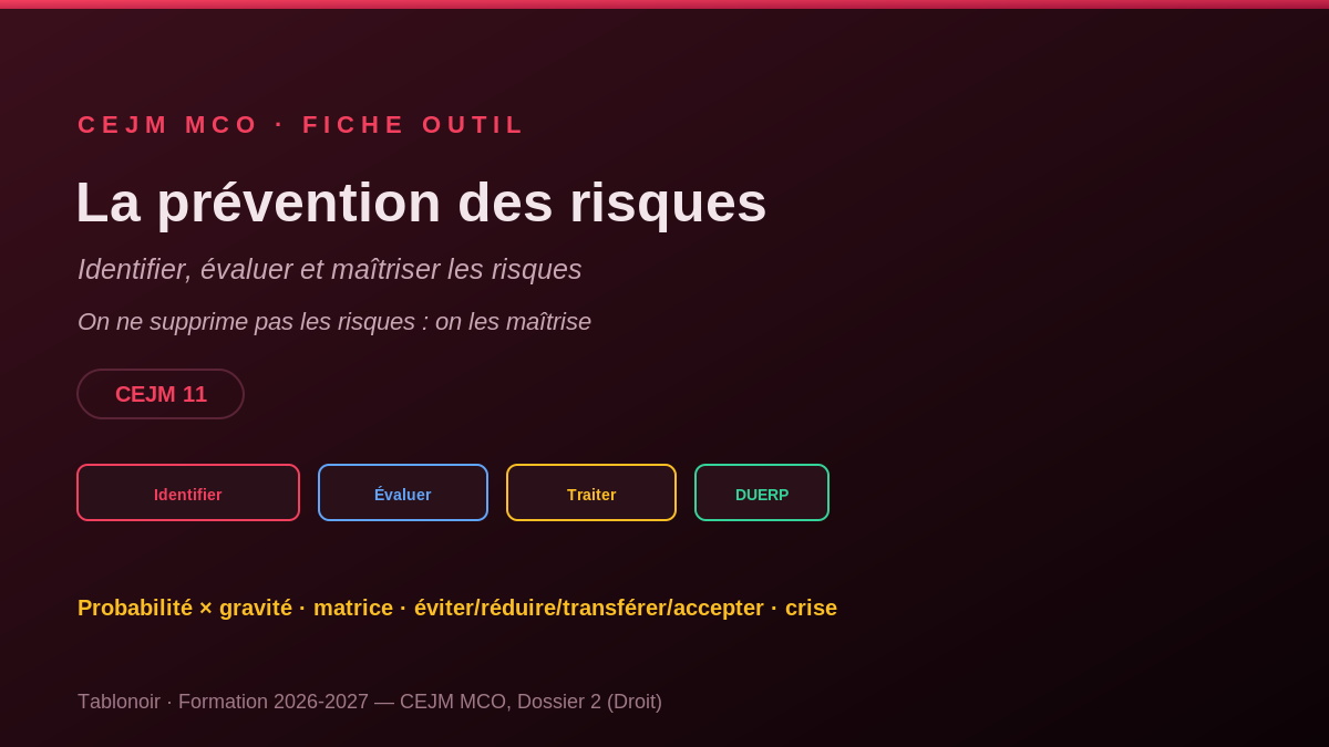 Infographie CEJM 2.06 — La prévention des risques en entreprise
