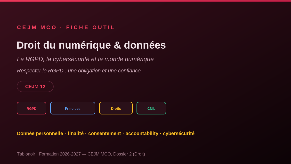 Infographie CEJM 2.07 — Le droit du numérique et la protection des données