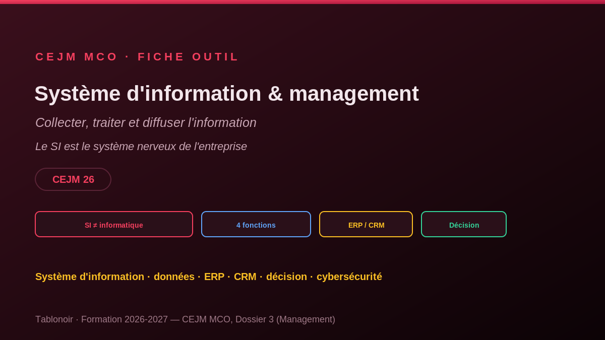 Infographie CEJM 3.07 — Le système d'information et le management
