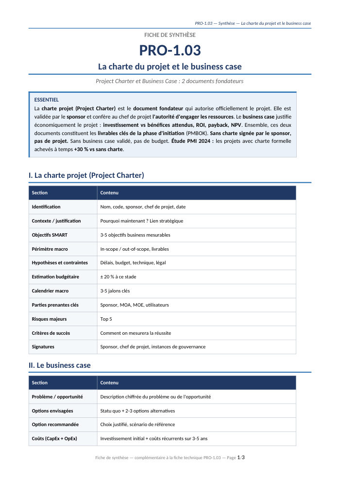 Première page de la synthèse